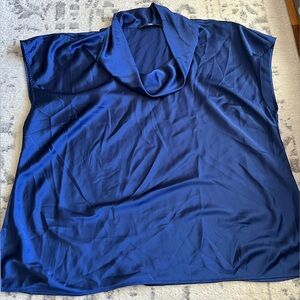 Rose and Olive Blue Cowl Neck Blouse